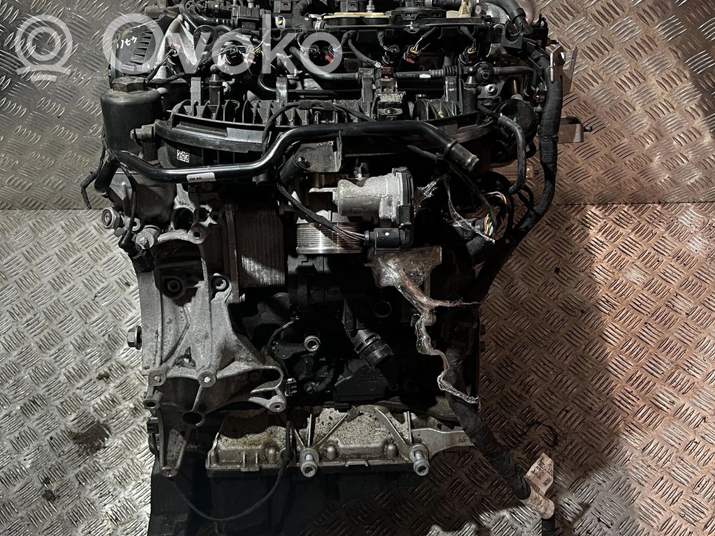 Motor   DMS,DMSB