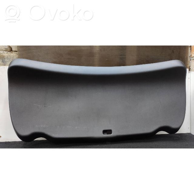 Tailgate trim   155886000,155885200