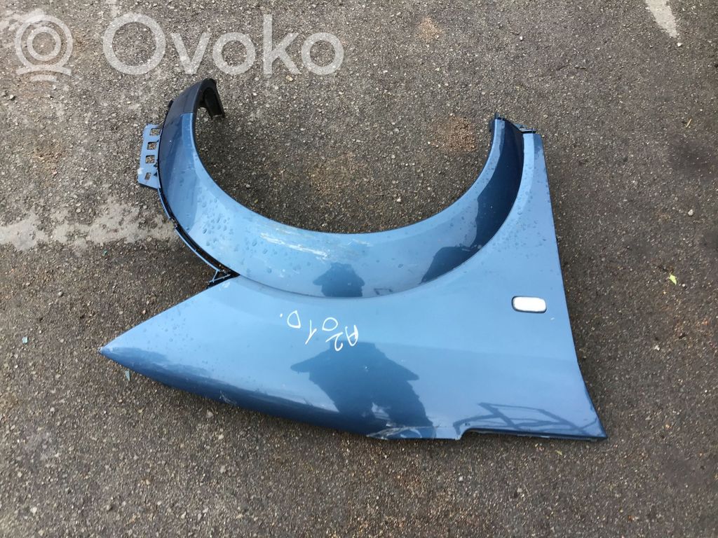 Guardabarro   OEM