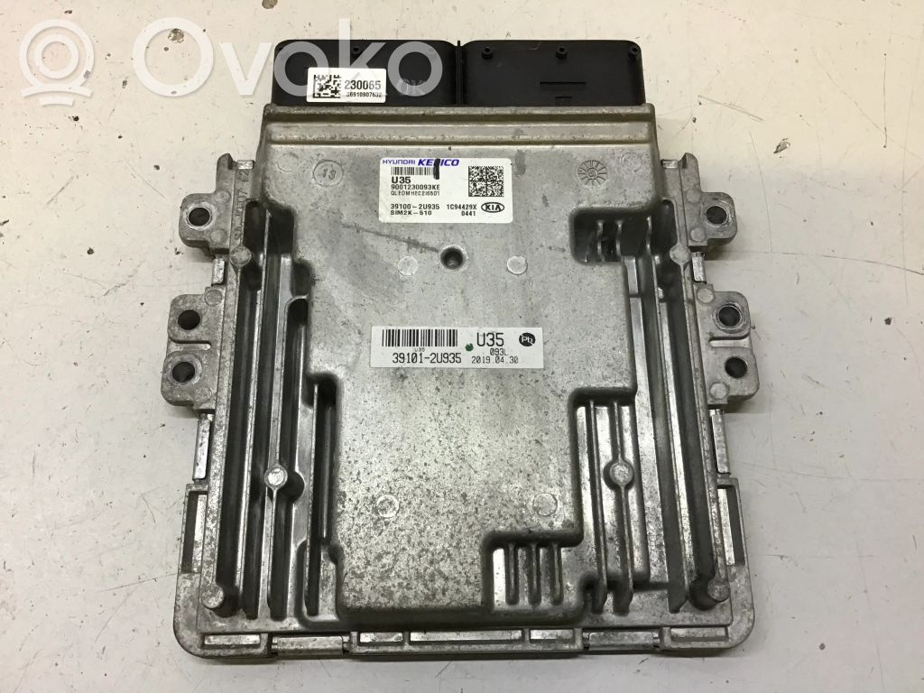 Engine control unit/module   391002U935,391012U935