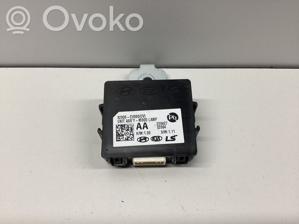 Module d'éclairage LCM   92900CV000