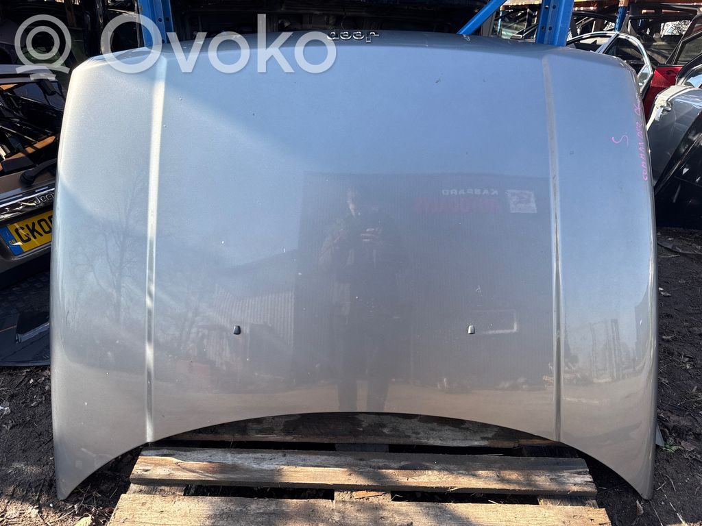 Engine bonnet/hood