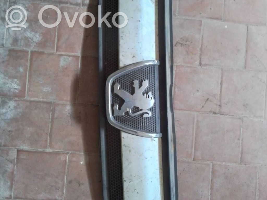 Front grill   1304703070,ST3162