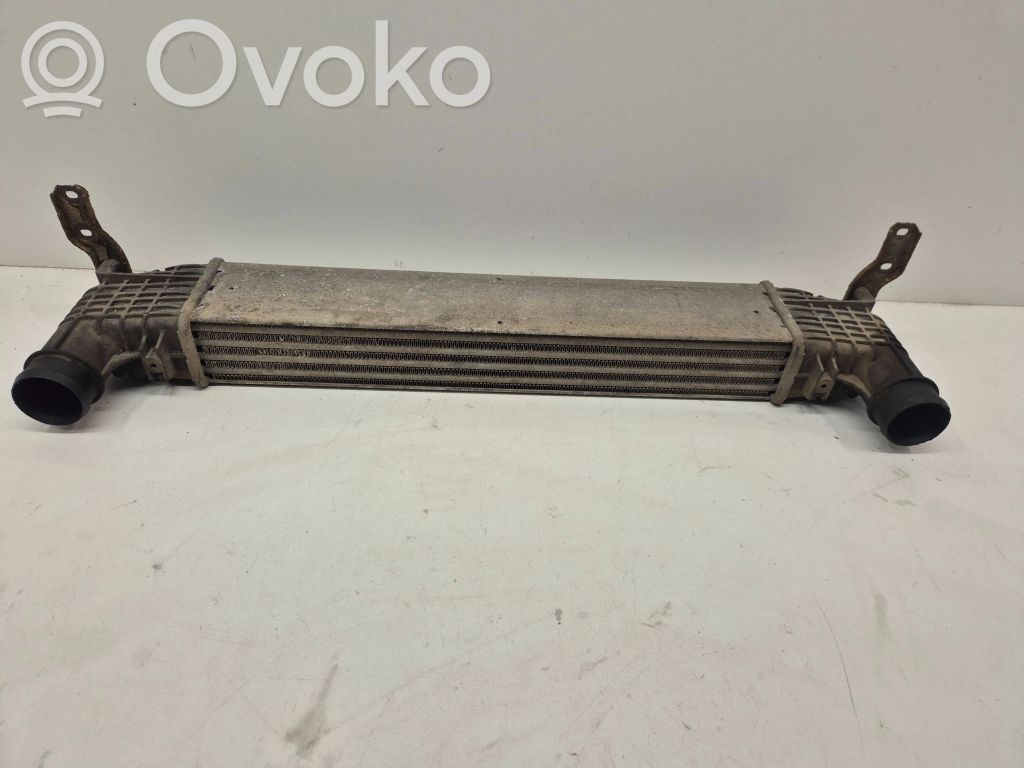 Seat Alhambra (Mk1) Intercooler radiator 