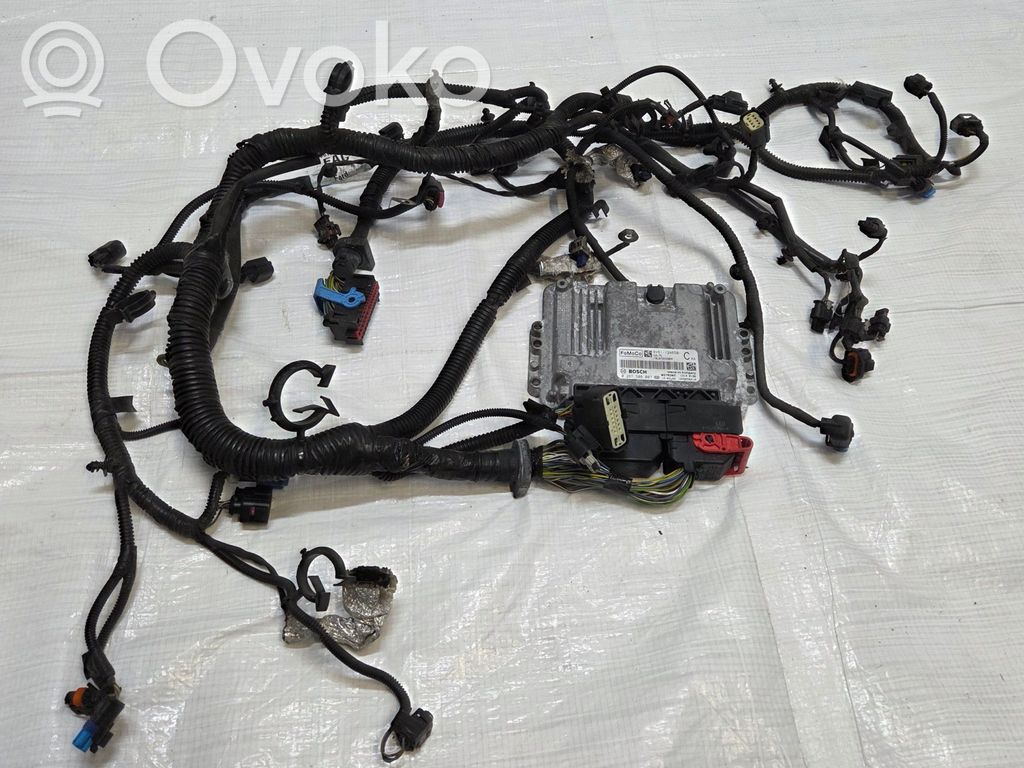 Ford Focus Engine control unit/module 