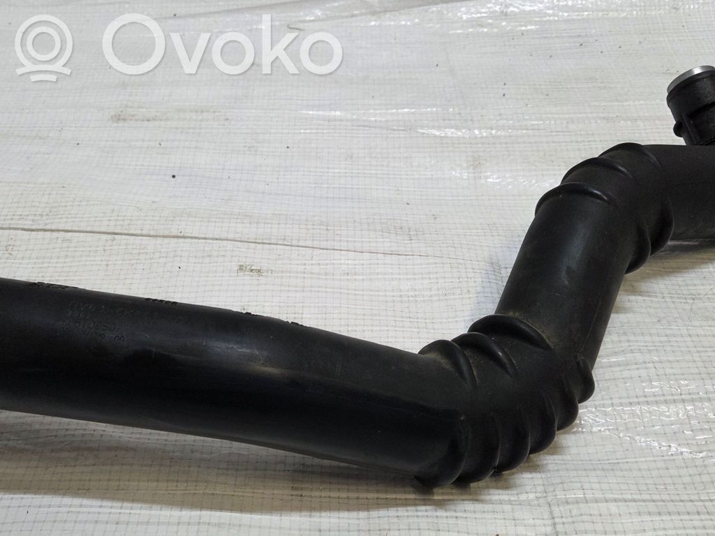 Ford Focus Interkūlerio žarna (-os)/ vamzdelis (-iai) 