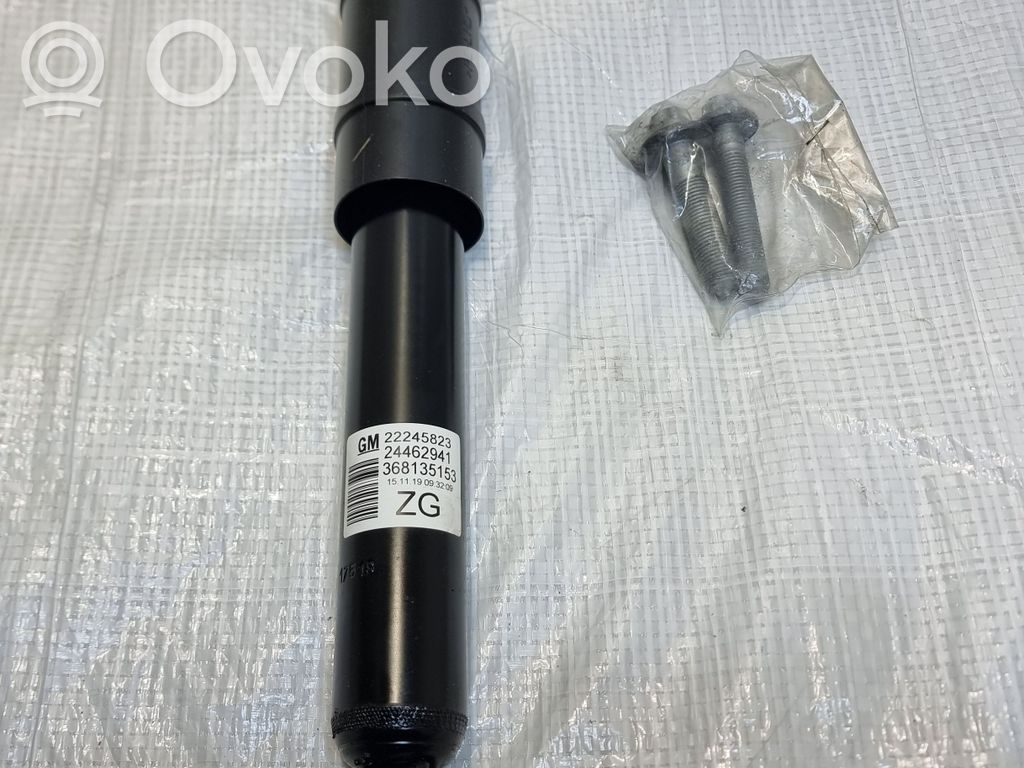 Opel Zafira A Amortyzator tylny 