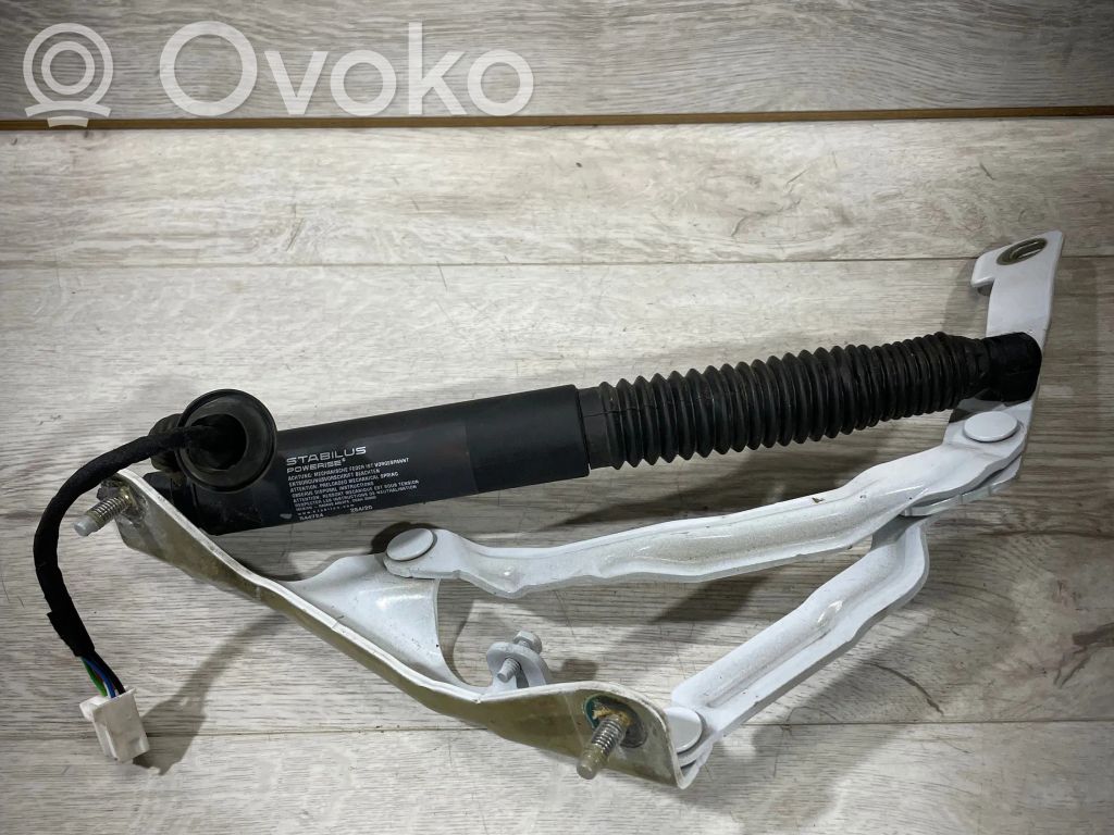 Tailgate strut   155148800B,211316015A0012