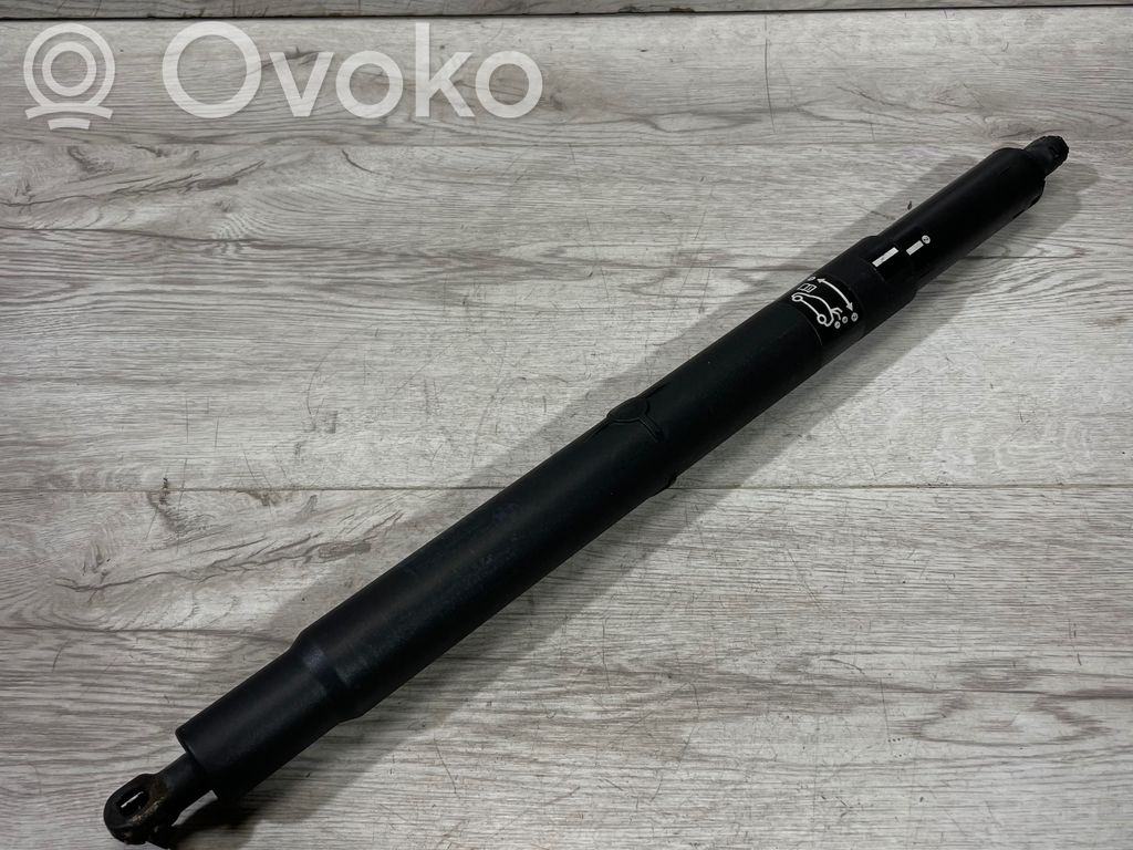 BMW X5 E70 Tailgate/trunk strut/damper 