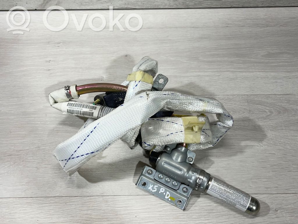 BMW X5 E53 Airbag del techo 
