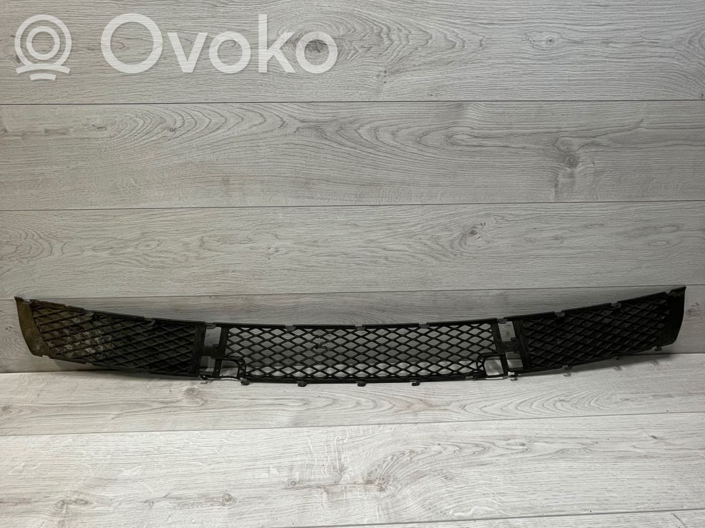 BMW X3 E83 Front bumper lower grill 