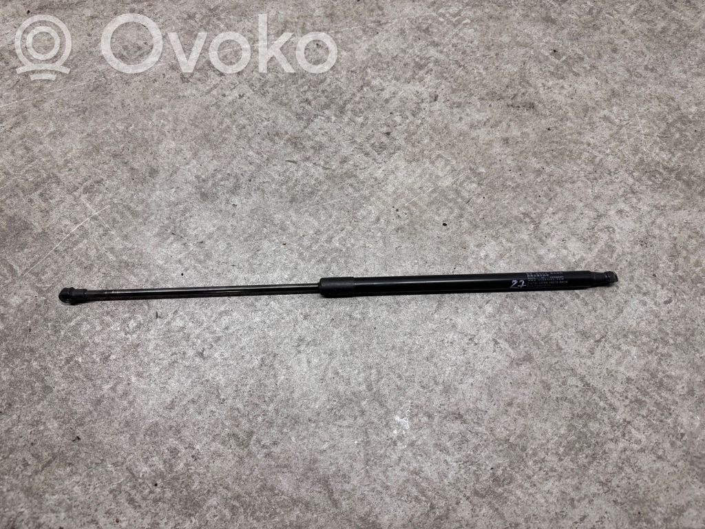 Tailgate/trunk strut/damper   7296775