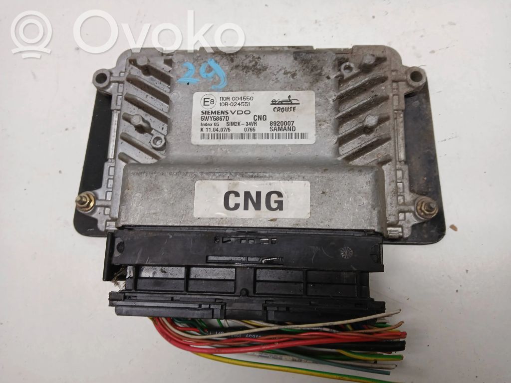 Engine control unit/module ECU   5WY5867D,8920007
