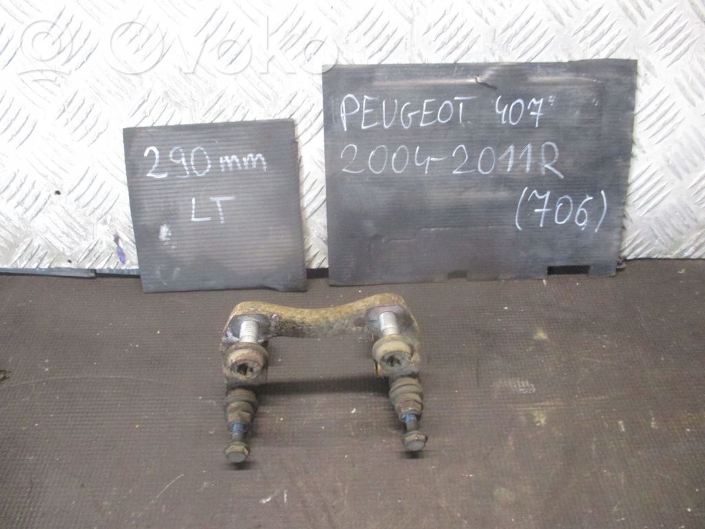 Peugeot 407 Rear brake disc 