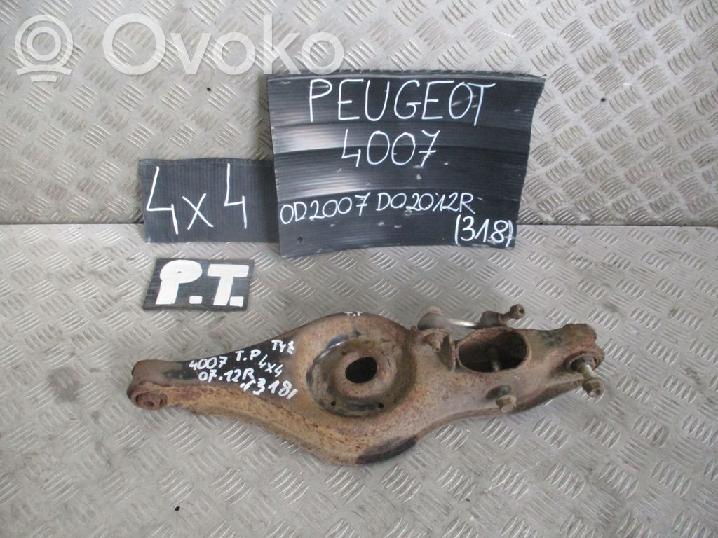Peugeot 407 Rear control arm 