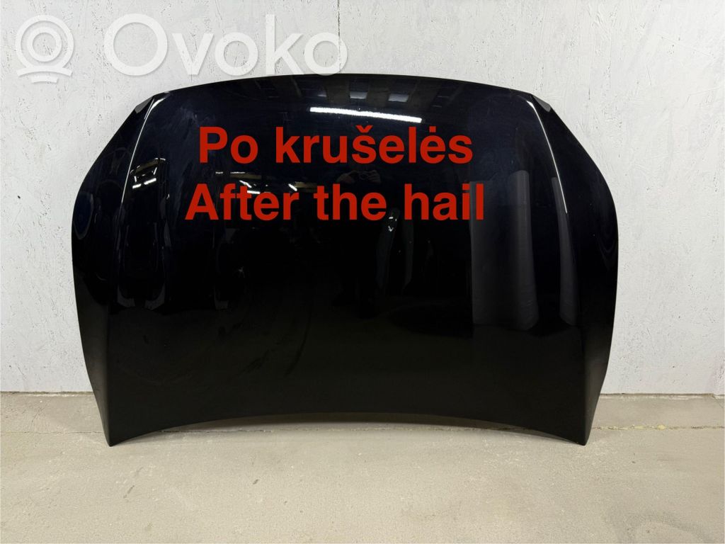 Dangtis variklio (kapotas)