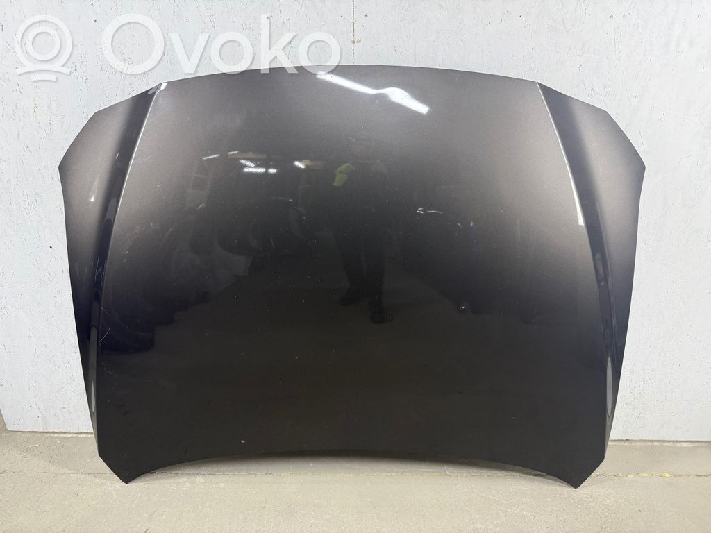 Motorhaube