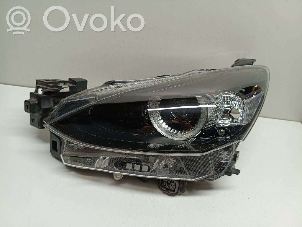 Headlight/headlamp   D43N51040