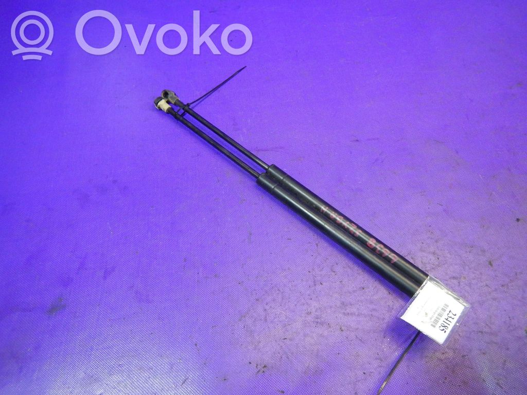 Tailgate strut