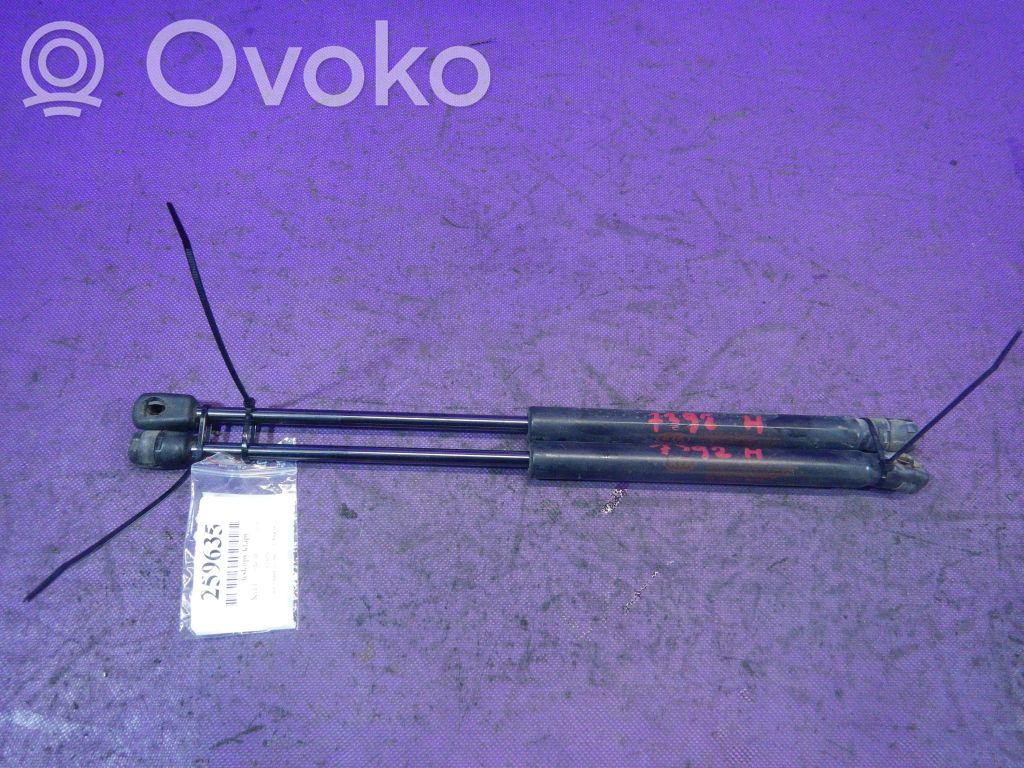 Tailgate strut