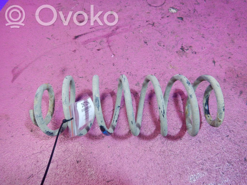 Rear coil spring