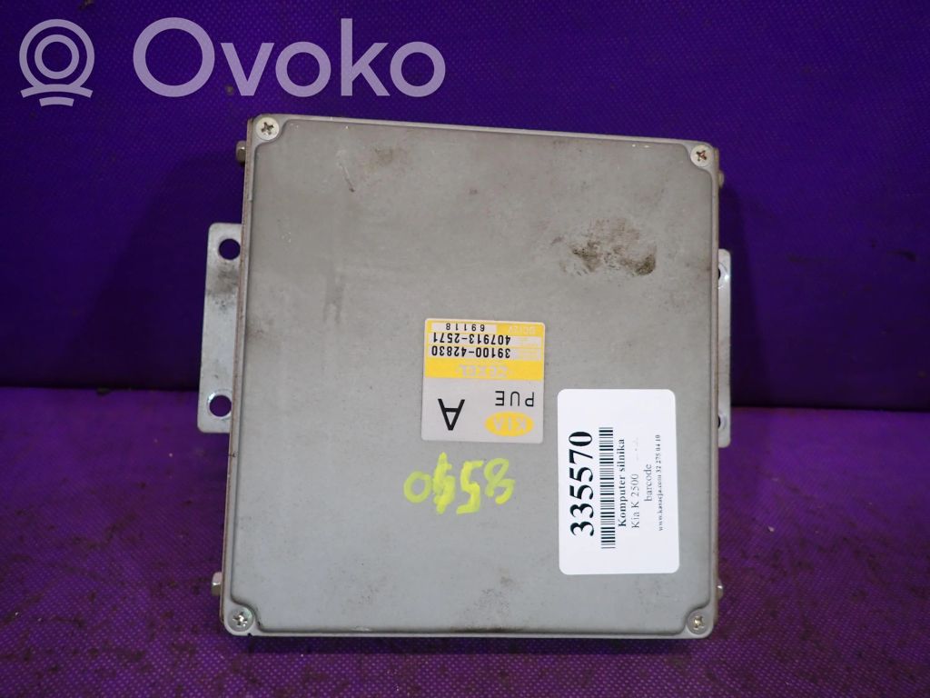 Centralina/modulo motore ECU   3910042830,3910042830