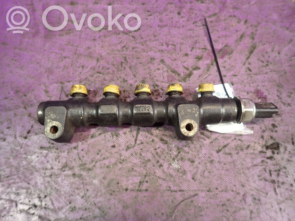 Peugeot 307 Rampă alimentare injectoare 