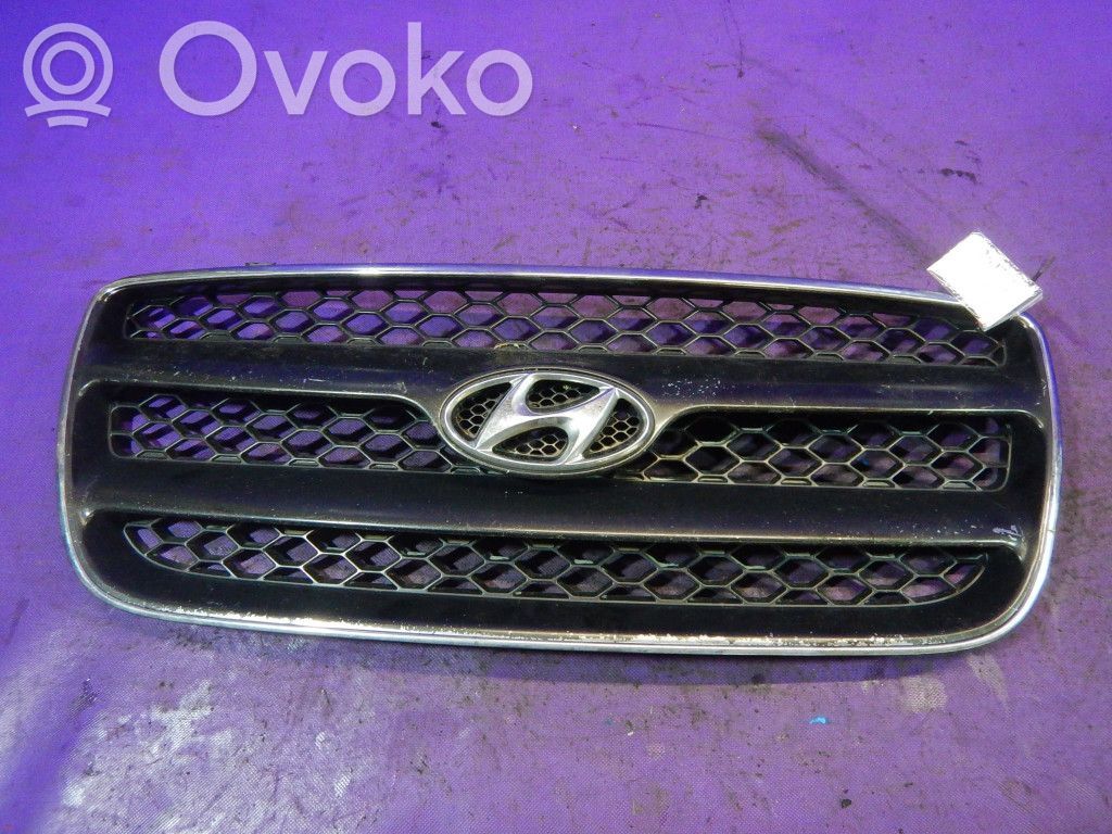 Hyundai Santa Fe Etusäleikkö 