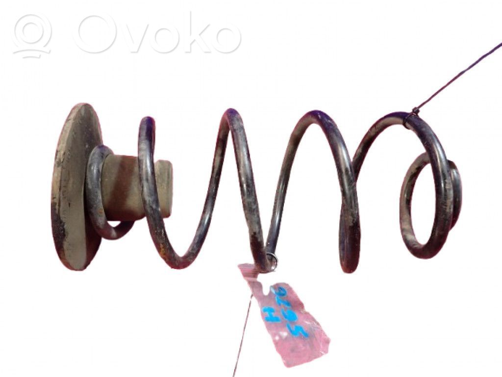 Muelle espiral trasero