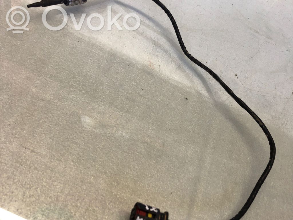 BMW X2 U10 Išmetamųjų dujų temperatūros daviklis 
