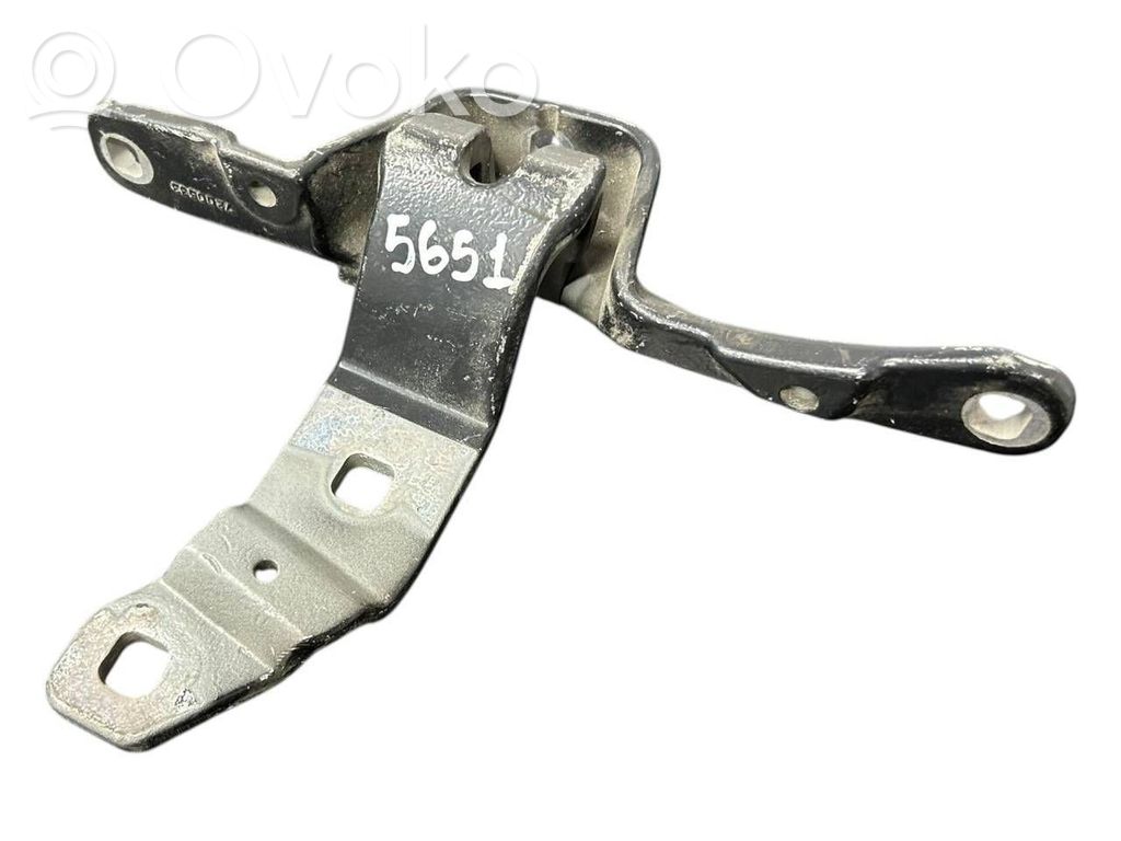 BMW 5 GT F07 Tailgate/trunk/boot hinge 
