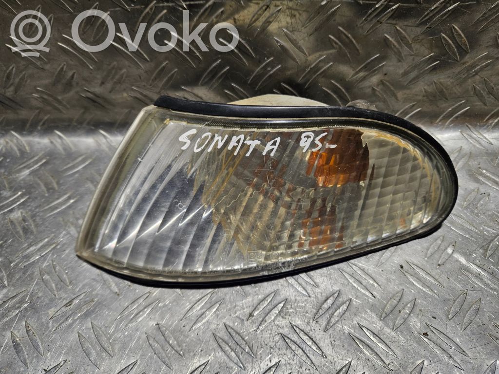 Hyundai Sonata Front indicator light 