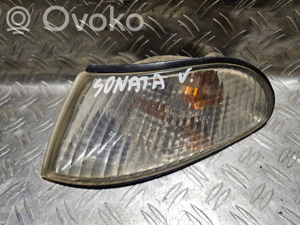 Hyundai Sonata Front indicator light 