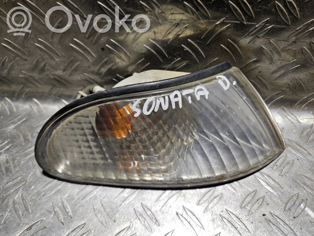 Hyundai Sonata Front indicator light 