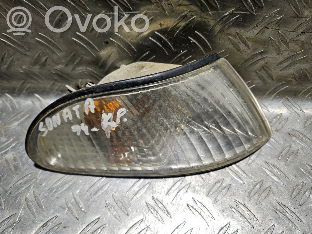 Hyundai Sonata Front indicator light 