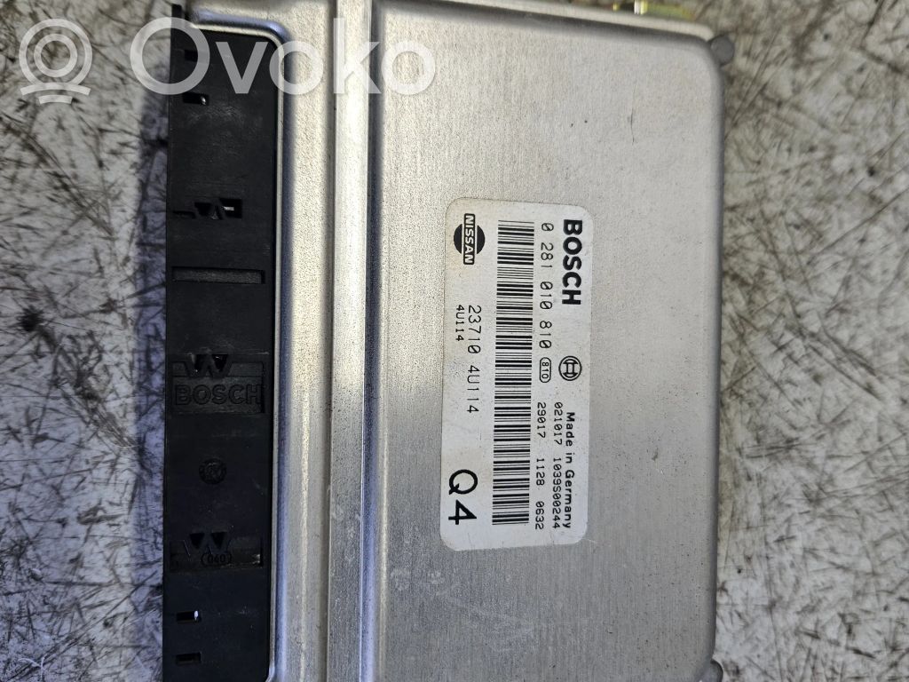 Nissan Almera Tino Engine control unit/module 