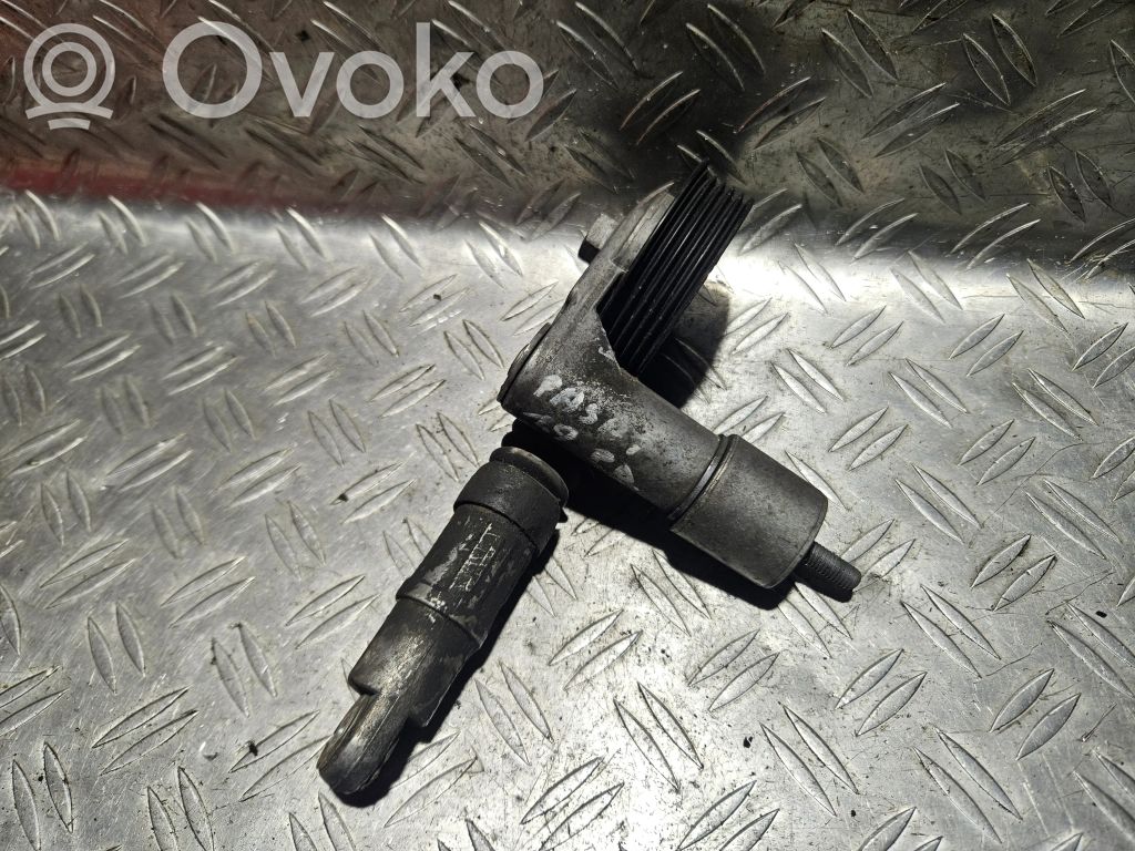 Volkswagen PASSAT B5.5 Întinzător curea generator/alternator 