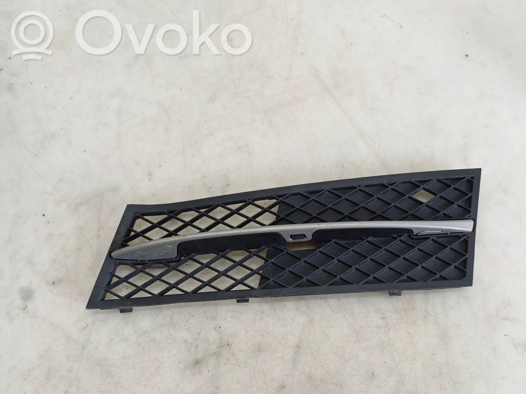 BMW 5 F10 F11 Front bumper lower grill 