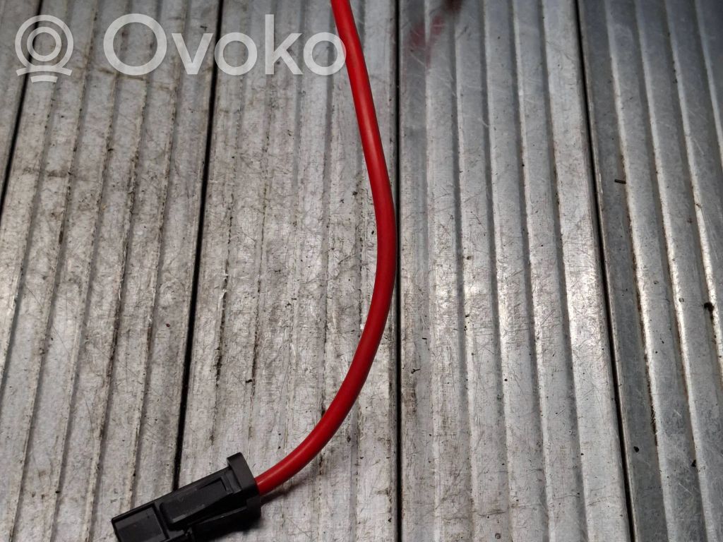 Cable positivo (batería)   9207521,15974510,EGJ43X
