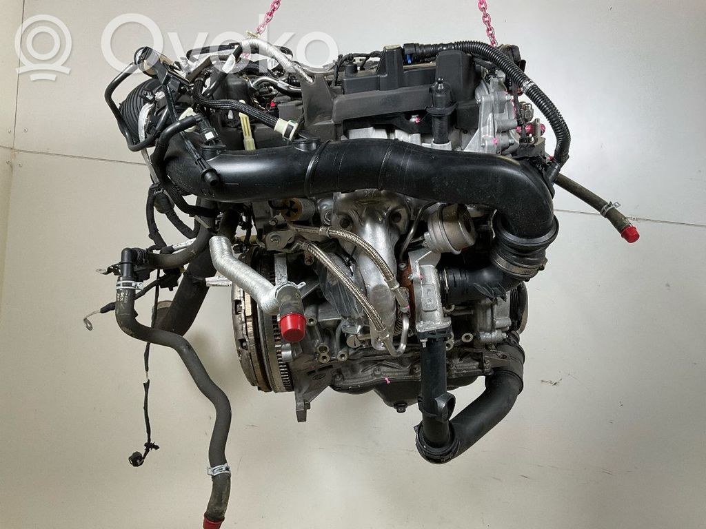 Ford Focus Engine 
