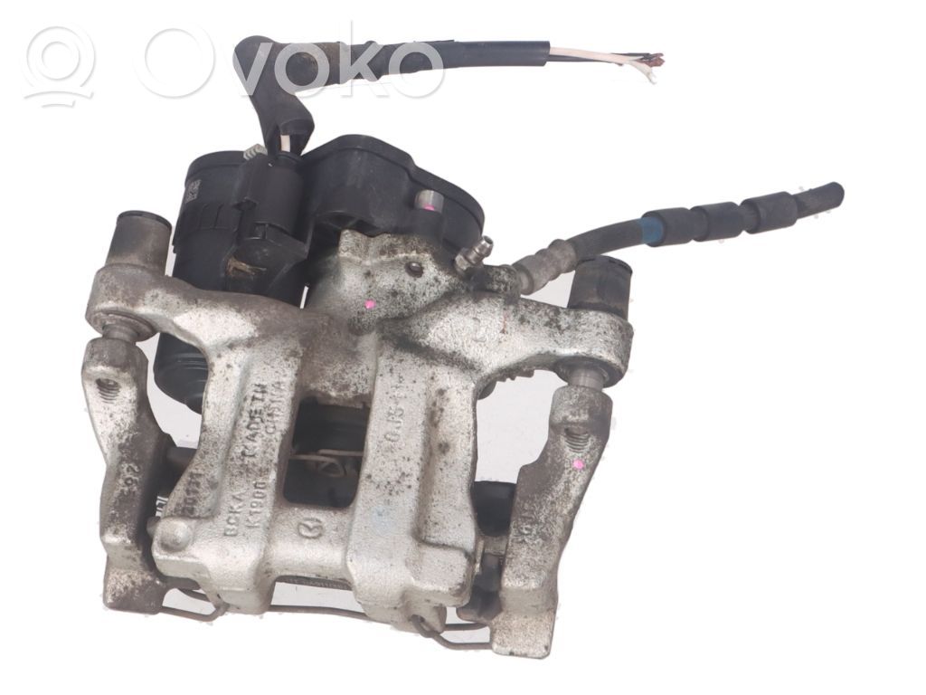 Takajarrusatula   BCYA2671X