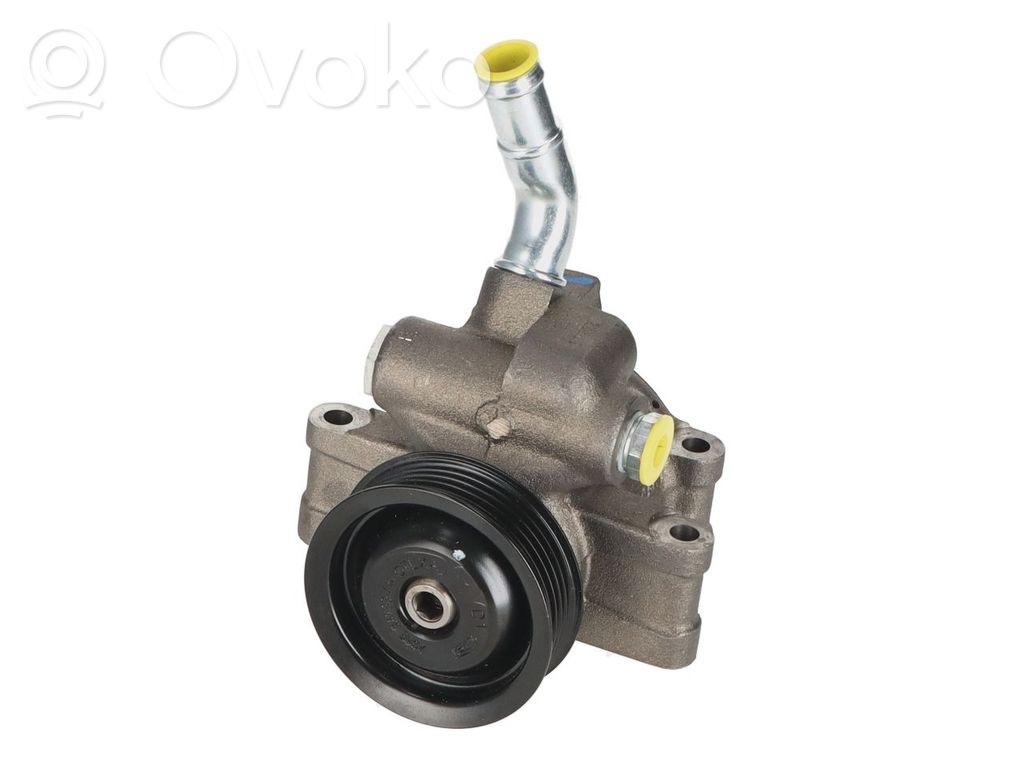 Ford Fiesta Pompă servodirecție 