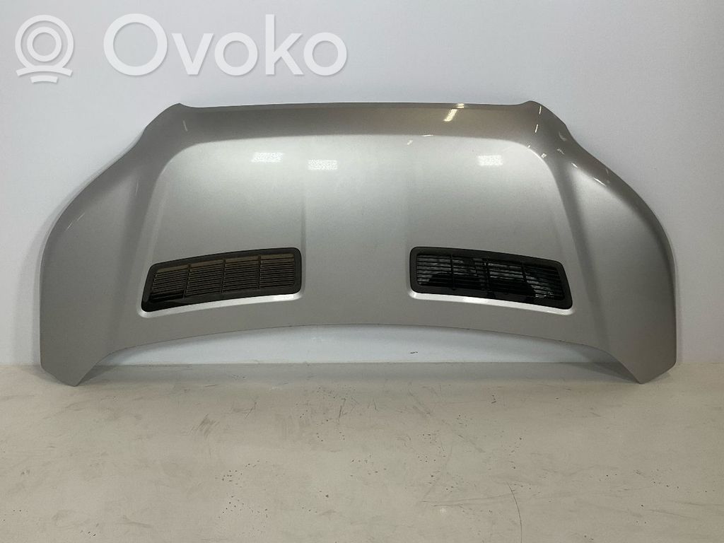 Vano motore/cofano   2485550