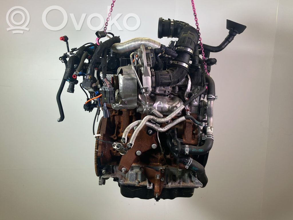 Ford Transit Motore 