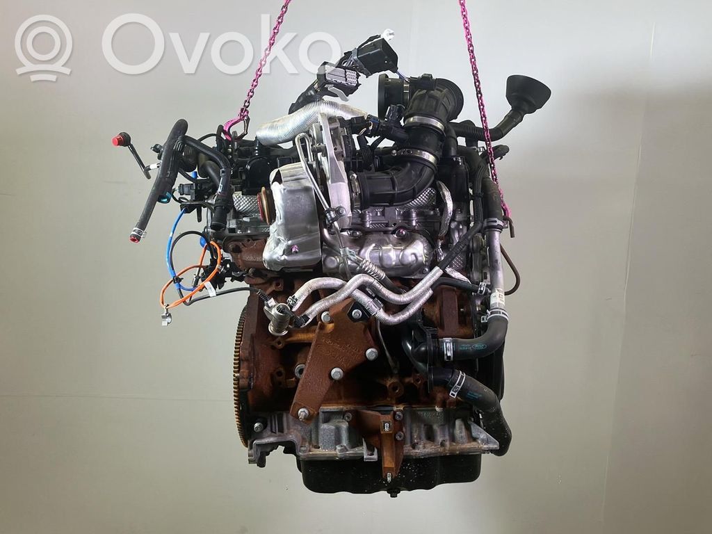 Ford Transit Motore 
