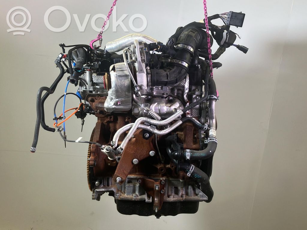 Ford Transit Motore 