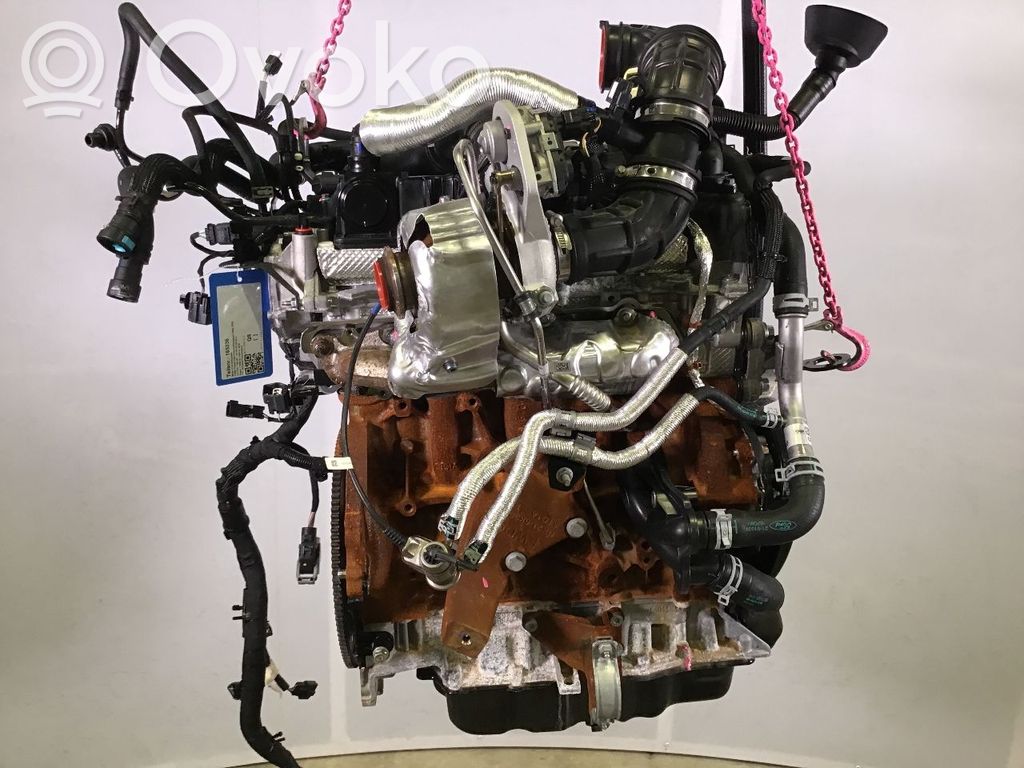 Ford Transit Motore 