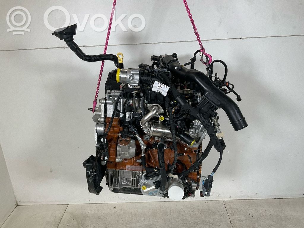 Ford Transit Motore 