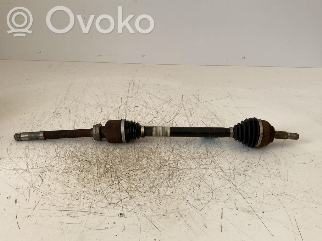 Priekšējā pusass   9820048080