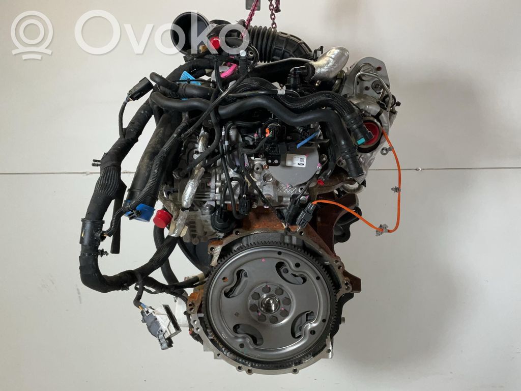 Ford Transit Motore 